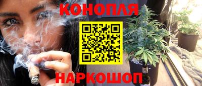 мяу мяу мука Славгород