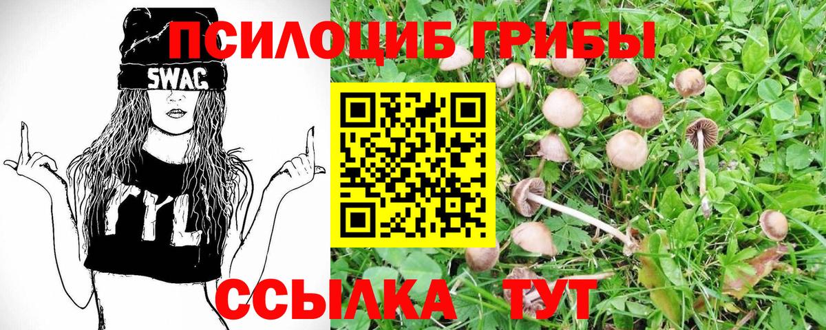Галлюциногенные грибы мухоморы Нефтеюганск