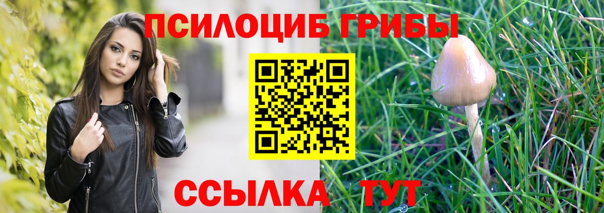 где найти   Вход с VPN  Нефтеюганск  Галлюциногенные грибы MAGIC MUSHROOMS 